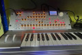 Korg Radias+teclado
