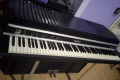 Piano Rhodes Mark II Suitcase Eighty Eight 88, the Top Model!
