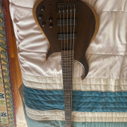 Bajo 5 cuerdas activo Meridian con funda original · Cantabria · 3800 €