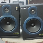 Monitores autoampliflicados Samson Resolv 65a · Jaén · 120 €