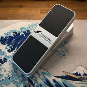 Fractal Audio EV-1 · Murcia · 170 €