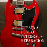 Luthier acústicos y eléctricos · León