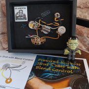 Arnes precableado STRATOCASTER 5 Posiciones+ Blender · Bizkaia · 100 €