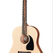 Gibson g45 · Bizkaia