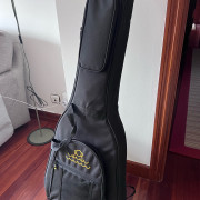 Epiphone Lucille B.B king · Bizkaia · 500 €