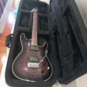 Ibanez sa series 220 modificada · Bizkaia · 299 €