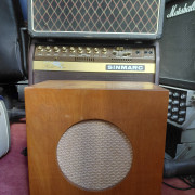 Pantalla altavoz alnico años 50 · Córdoba · 100 €