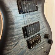 Prs ce DW hardtail limited edition Dustie Waring BTBM USA