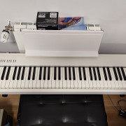 Roland FP-30X · Bizkaia · 490 €