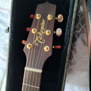 TAKAMINE EAN20cn · Murcia · 580 €