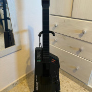 Casio DG-1 · Sevilla · 210 €