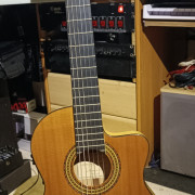 Flamenca estrecha Antonio Aparicio · Tarragona · 500 €