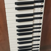 Accesorios Sintetizador Korg M1 · Madrid · 80 €