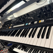 Moog Muse Impecable · Tarragona · 2700 €