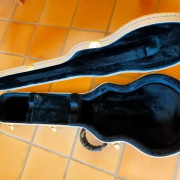 Estuche Hagström Swede / Les Paul · León · 100 €
