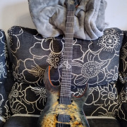 Solar S1.6PB - Poplar Burst Matte · Bizkaia · 1050 €