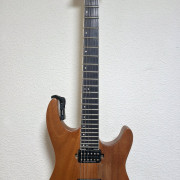 Guitarra Eléctrica Jackson Pro DK2 Okoume (lutier)