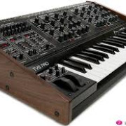 Oberheim Two Voices Pro Negro. · Illes Balears