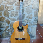 Morris Groovin PA-17G + Colección + Reparar · Málaga · 700 €