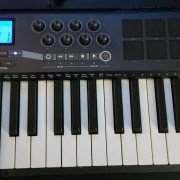 M-Audio Axiom 25 · Valencia · 45 €