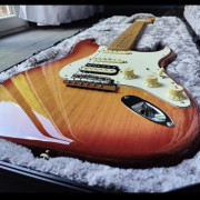 Fender American Professional · Palencia · 1450 €
