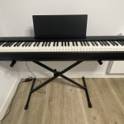 Roland FP-30 · Madrid · 450 €