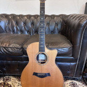 Taylor 814ce Fall Limited Edition (Cocobolo) del año 2003/2004. · Pontevedra · 2750 €
