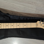 Mástil fender telecaster thinline · Madrid · 230 €