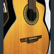 Guitarra Takamine TC135SC ,Tope de Gama Japonesa · Segovia · 1200 €