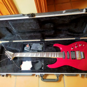 Estuche rígido Jackson · León · 100 €