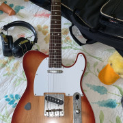 Vendo: Tokai ate 150 B premium · León · 1500 €