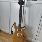 PRS DGT SE · León · 700 €