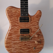 Carvin Holdsworth H2T Fatboy · Barcelona · 1800 €