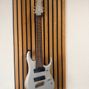 Ibanez RGDMS8 - 8 cuerdas · Barcelona · 850 €
