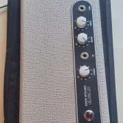 Surfybear classic V3 · Asturias · 290 €