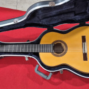 Javier Rosales Guitarra Flamenca · Girona · 1750 €