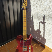Telecaster Player Plus