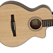 Taylor serie 300 Nylon · Valencia