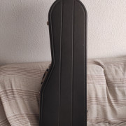 Estuche Hiscox liteflite strato · Valencia · 120 €