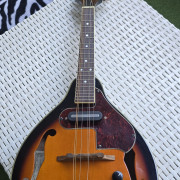 Mandolina Ibanez · Madrid · 150 €