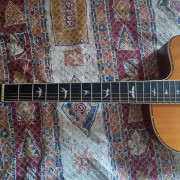 PRS SE acústica (modelo se A40E) · Asturias · 420 €