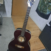 Takamine EG-430WR S · Madrid · 400 €