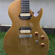 Chapman ML-2 Classic Gold Top · Pontevedra · 550 €