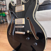 D’Angelico Excell DC Tour · Madrid · 650 €