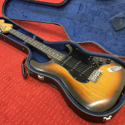 Fender Stratocaster 1979 · Bizkaia · 2750 €