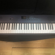 ROLAND GO KEYS 3 · Alicante · 275 €