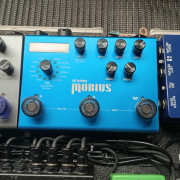 Strymon mobius