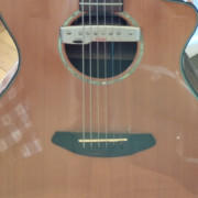 Breedlove pursuit · Barcelona · 400 €