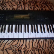 Korg 01/Wfd · Bizkaia · 450 €