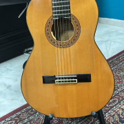 Luis Goya año 70(flamenca ) · Sevilla